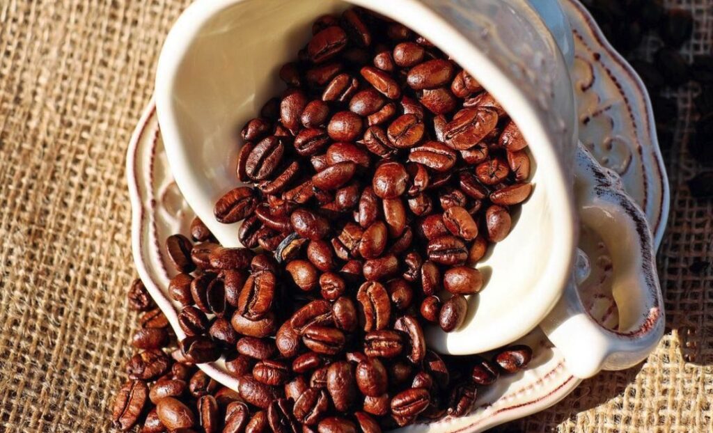 “Naik Daun! Kopi Fermentasi ala Gayo Jadi Primadona Baru Kafe-Kafe Premium Asia Tenggara”