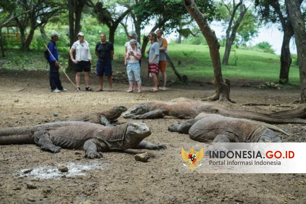 Taman Nasional Komodo Batasi Kunjungan Wisata demi Pelestarian